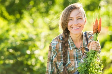 gardening - woman with organic carrots in a vegetable garden. backlight, copy space