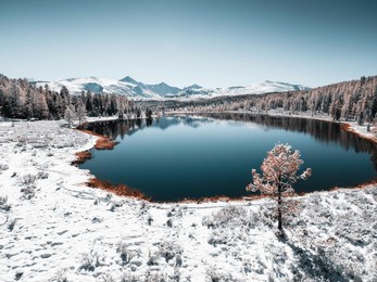 kidelu lake in altai mountains, siberia, russia. snow-covered trees and mountains. aerial drone view. winter landscape.