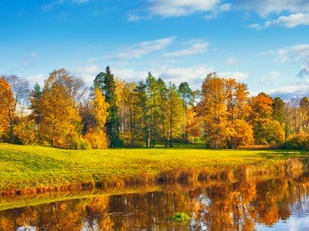 autumn landscape in park with river and blue sky