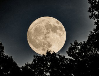 waxing gibbous illuminates the night sky.