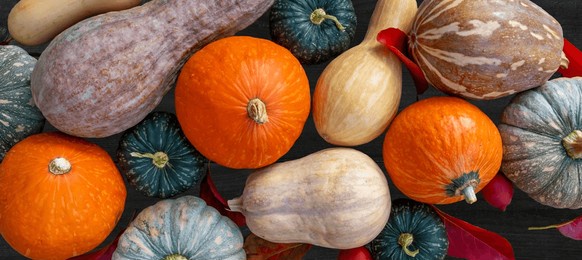 top view of variety of autumn harvest with organics pumpkins, squash and gourds inside the wooden basket for thanksgiving and fall agriculture season produce