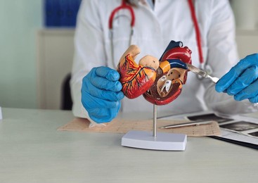 cardiologist surgeon anatomical model of heart using scalpel. heart valves and surgery
