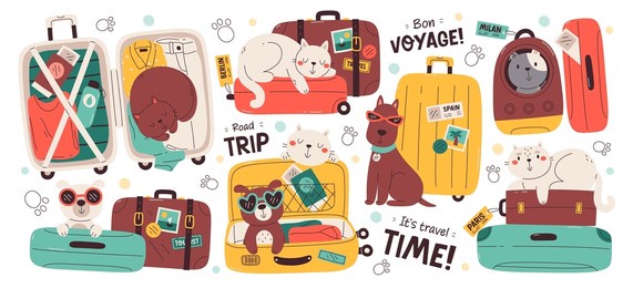 pet travel set with cute dog and funny cat suitcase prepared for summer vacation time and trip adventure. comic cartoon domestic animals and stuff inside luggage case container vector illustration