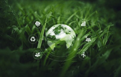 globe on the green grass in the forest, environmental concept and icon environmental, renewable, sustainable energy, co2, net zero, and esg concept