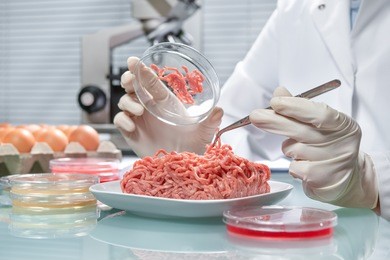 food quality control expert inspecting at meat specimen in the laboratory