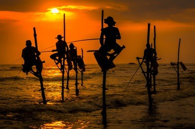 silhouettes of the traditional fishermen at the sunset in sri lanka