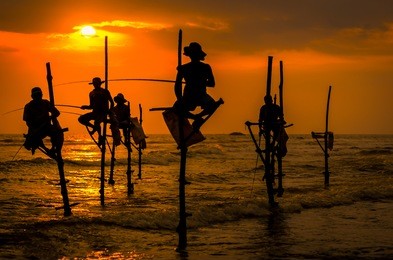 silhouettes of the traditional fishermen at the sunset in sri lanka