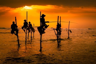 silhouettes of the traditional fishermen at the sunset in sri lanka