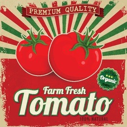 colorful vintage tomato label poster vector illustration