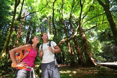 hiking couple in forest redwoods, san francisco. hiker couple walking among redwood trees near san francisco, california, usa. multiracial couple, young asian woman and caucasian man.