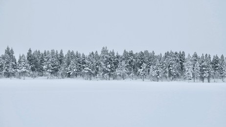 breathtaking snowy landscapes from kiruna, sweden