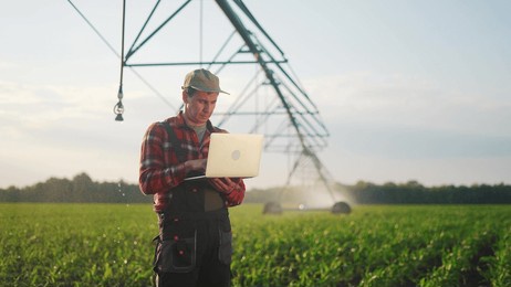 corn agriculture. male farmer works on a laptop in a field with green corn sprouts. corn is watered by irrigation sunlight machine. irrigation agriculture business concept