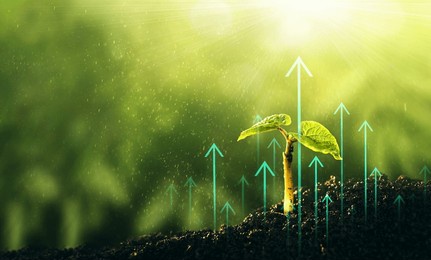 seedling are growing from the rich soil with  business arrow of growth.concept of business growth, profit, development and success.	