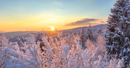 aerial, lens flare: picturesque drone vista of the wintry rural landscape at golden hour. golden morning sunbeams shine on a snowy tree in the idyllic countryside. scenic snowy countryside at sunset.