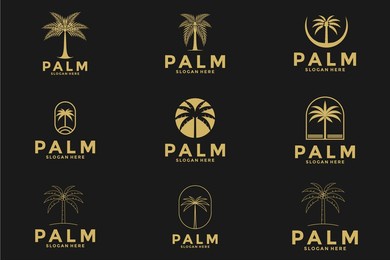 set of palm tree logo vector illustration. luxury gold palm logo template