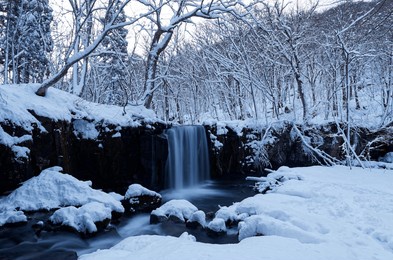 choshi waterfall at oirase stream in winter is a serene sight. the waterfall flows gracefully over a rocky cliff, surrounded by snow-covered rocks and bare trees