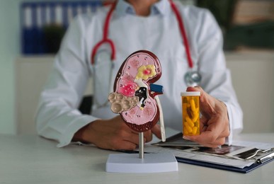 nephrologist doctor holds in hands an anatomical model of human kidney with pills in clinic. kidney treatment in clinic