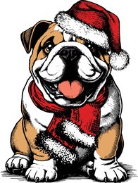 bulldog breed in red hat of santa claus, funny christmas dog, dog christmas winter holiday , cute christmas dog