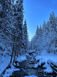 stream in frosty and snowy tatra mountains