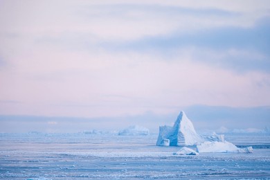 antarctica view. seascape and landscape of antarctica. glaciers and southern ocean.