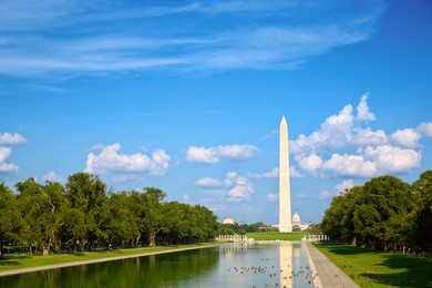 washington monument at national mall in washington, dc
