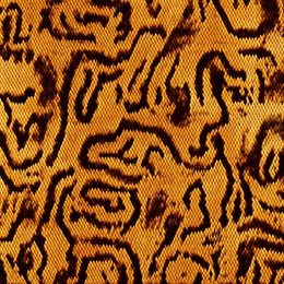 leopard , zebra and tiger mix furry skin seamless pattern