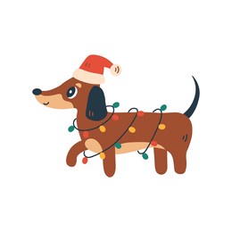 christmas dachshund dog with garland and santa hat. cute cartoon puppy with xmas decoration. holiday and celebration pet design. flat style. vector illustration