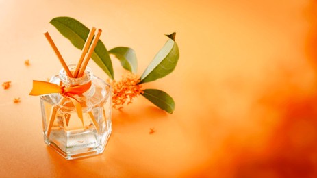 the scent of osmanthus. fragrant olive and sweet olive perfume.