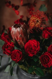 red luxury bouquet on dark background, protea, rose and eucalyptus