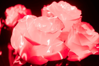 photo of a bouquet of roses painted with a light brush