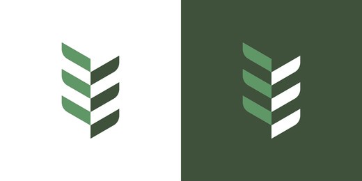 letter e with leaf logo design. premium vector