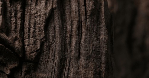 close-up of dark wood texture with deep grooves