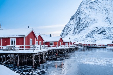 reine village with traditional rorbu houses on lofoten islands in winter. scandinavian landscape with red wooden fishermen cabins on frozen sea water and snowy reinebringen mountain, northern norway.
