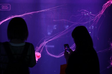 jelly fish in deep blue sea in sumida aquarium