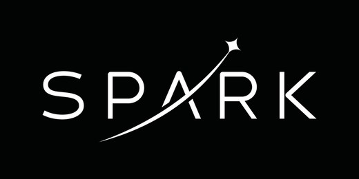 typography text spark, logo design inspiration.