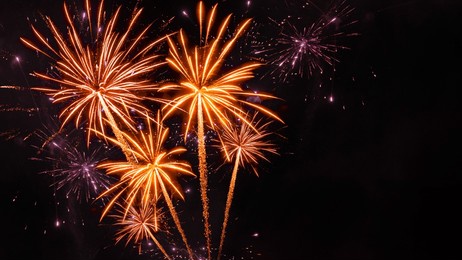 sylvester, happy new year, new year's eve 2025 background banner - golden firework fireworks pyrotechnics on dark black night sky