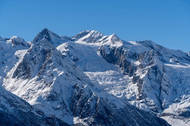dombay. karachay-cherkessia. giant rocks with snow-capped peaks and glaciers rise majestically against  blue autumn sky. pine and spruce forests grow at foot of mountains. sunny day. autumn 2024
