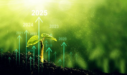 seedling are growing from soil with growth comparative year 2019 to 2025. concept of business growth, profit, agriculture, development and success graph.