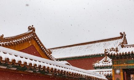 forbidden city in snow, beijing, china