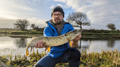 man holding northern pike freshwater fish caught in cregg river, galway, ireland, water animals and wildlife, nature background, fishing, catch and release	