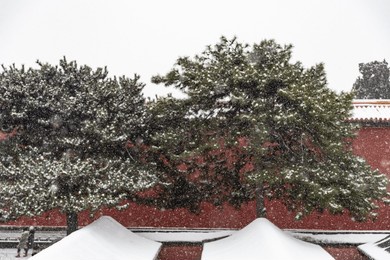 forbidden city in snow, beijing, china