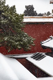 forbidden city in snow, beijing, china