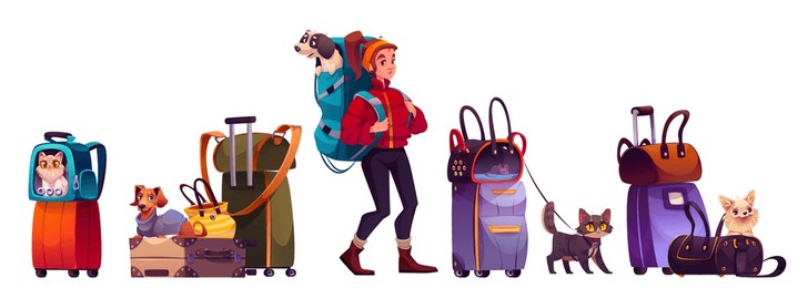 pet travel equipment set with cat carriers, luggage bags, suitcases, woman carrying dog in backpack. companion animals - puppy, black feline, ginger kitten, dachshund with transportation for trip.