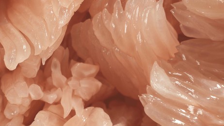 red grapefruit pomelo pulp. complex texture with juicy capsules. macro shot. 