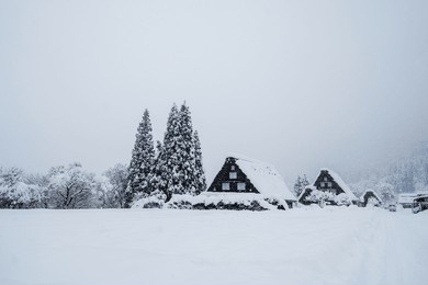discover a tranquil winter scene showcasing traditional snow-covered houses surrounded by majestic evergreen trees, creating a peaceful and serene atmosphere in nature.