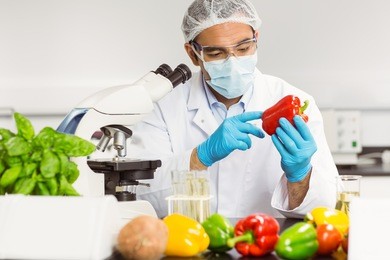 food scientist examining a pepper at the university