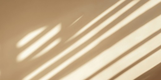 soft shadows cast by sunlight creating a warm ambiance.