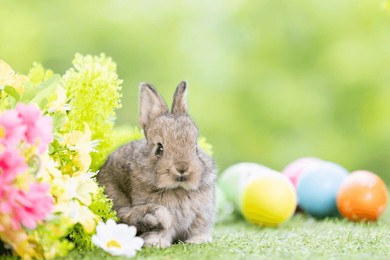 lovely bunny easter fluffy baby rabbit with a basket full of colorful flowers and easter eggs on green garden nature background on warming spring day. symbol of easter day festival. rabbit in summer.