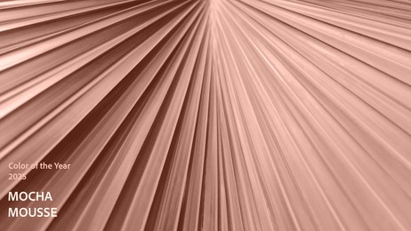 mocha mousse, color of the year 2025. texture. abstract background with mocha mousse color palette. colour. palm leaf texture overlay, colour with warm, earthy, complementing, contemporary, minimalist