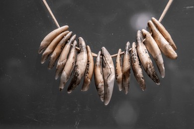 tooth necklace, chalcolithic, fifth millennium bc, bulgarian national archaeological museum, sofia, republic of bulgaria, europe